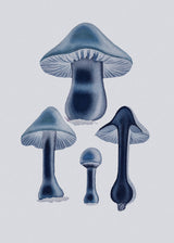 Agaricus Bulbosus - Blue Poster och Canvastavla