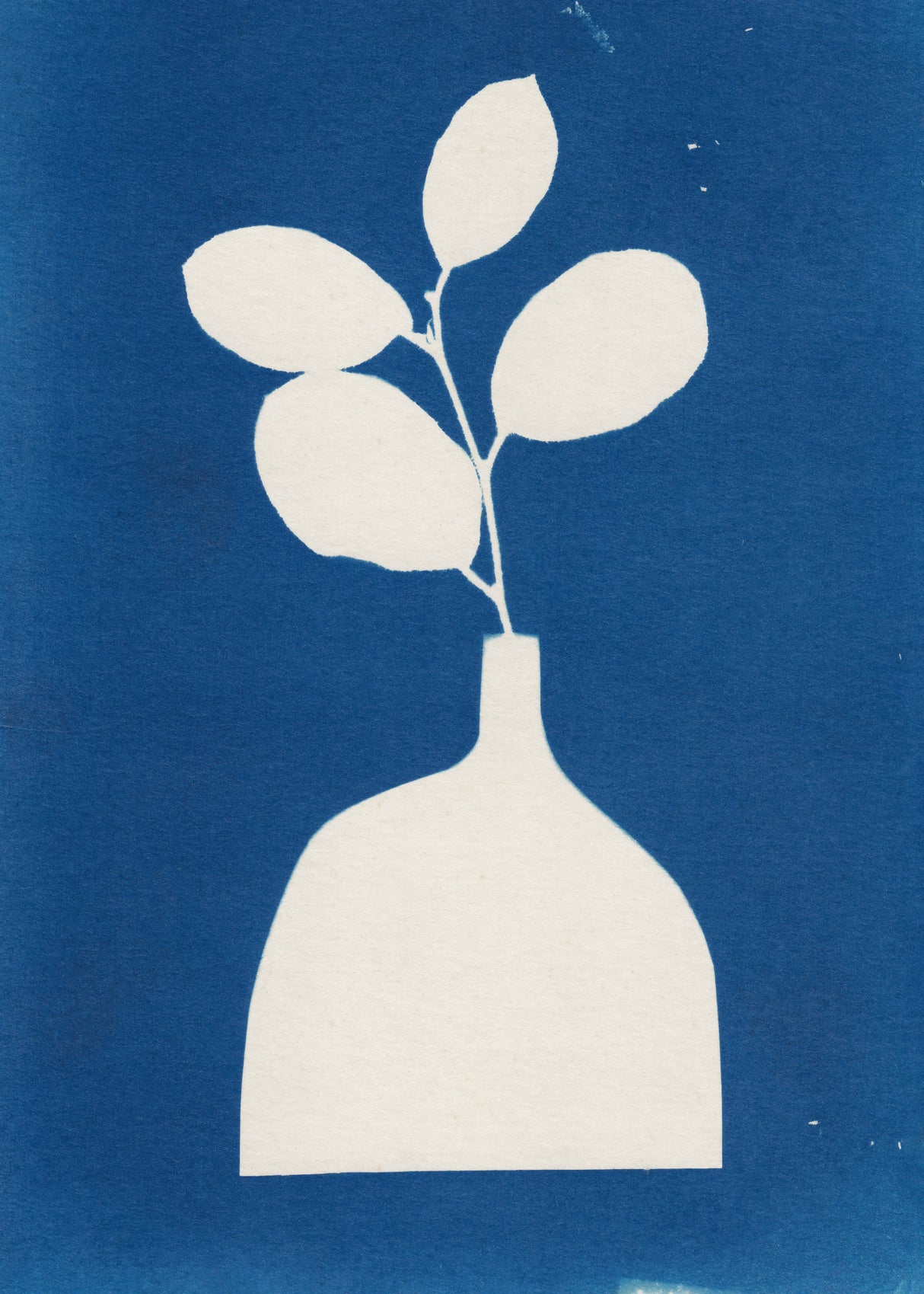 Cyanotype Still Life Studies #2 Poster och Canvastavla