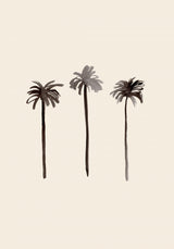 Palm Trees Ink Poster och Canvastavla