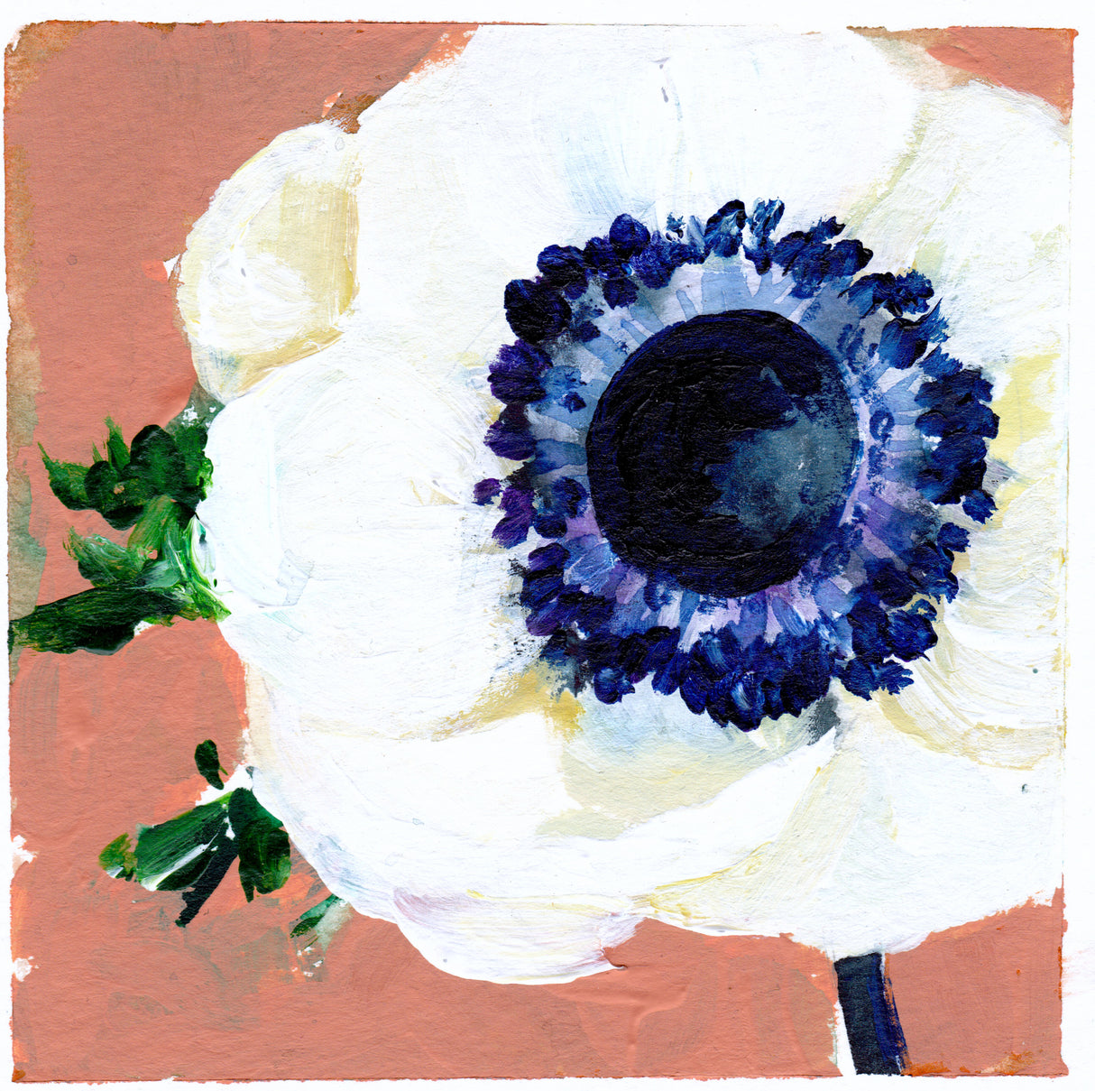 Anemone Poster och Canvastavla