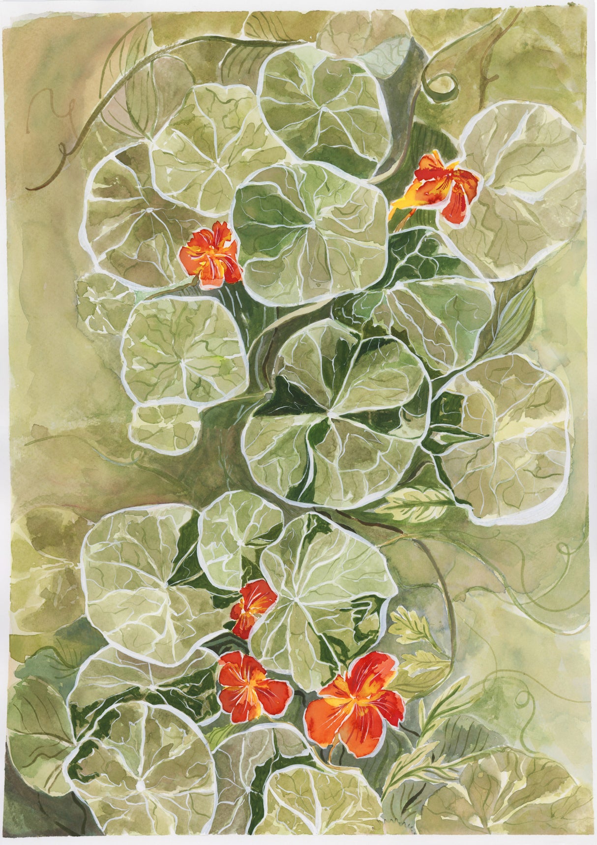 Nasturtium Tapestry Poster och Canvastavla