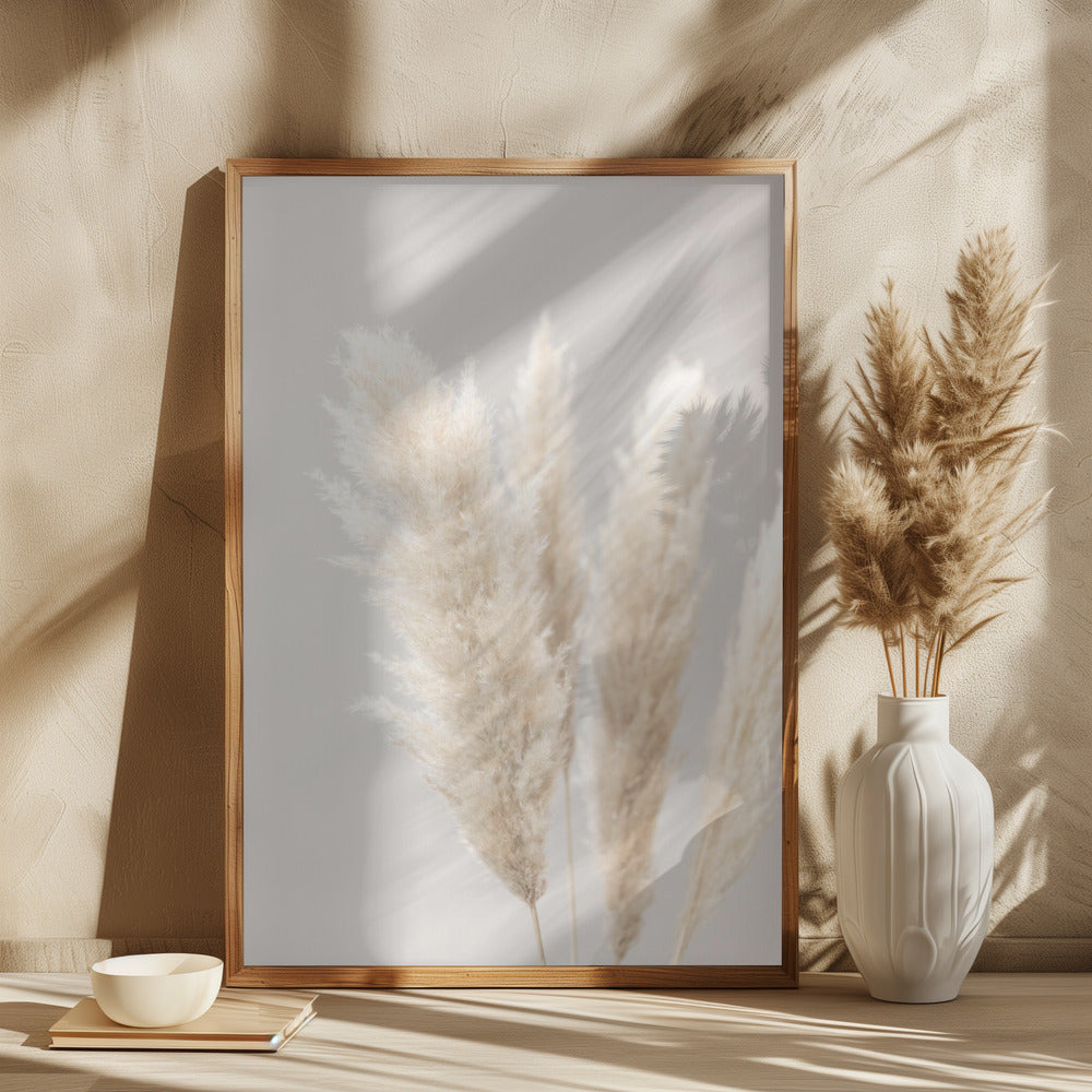 Pampas Grass Grey 02 Poster och Canvastavla