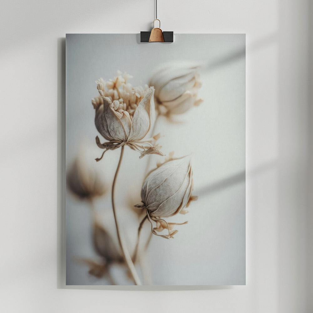 Beige Felt Flowers Poster och Canvastavla