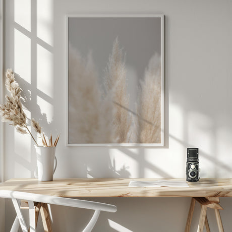 Pampas Grass Grey 04 Poster och Canvastavla