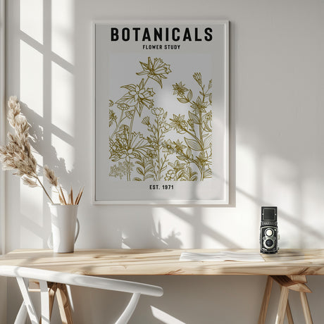 Botanicals Flower Study Ii Poster och Canvastavla