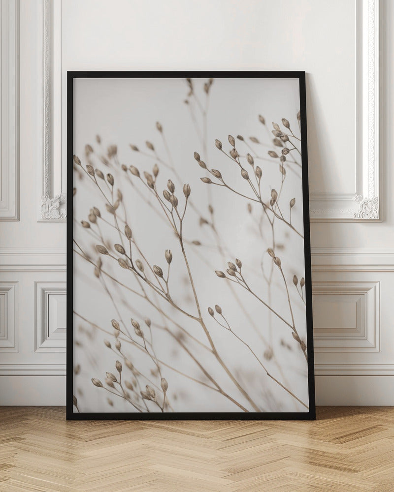 Wild Grass Poster och Canvastavla