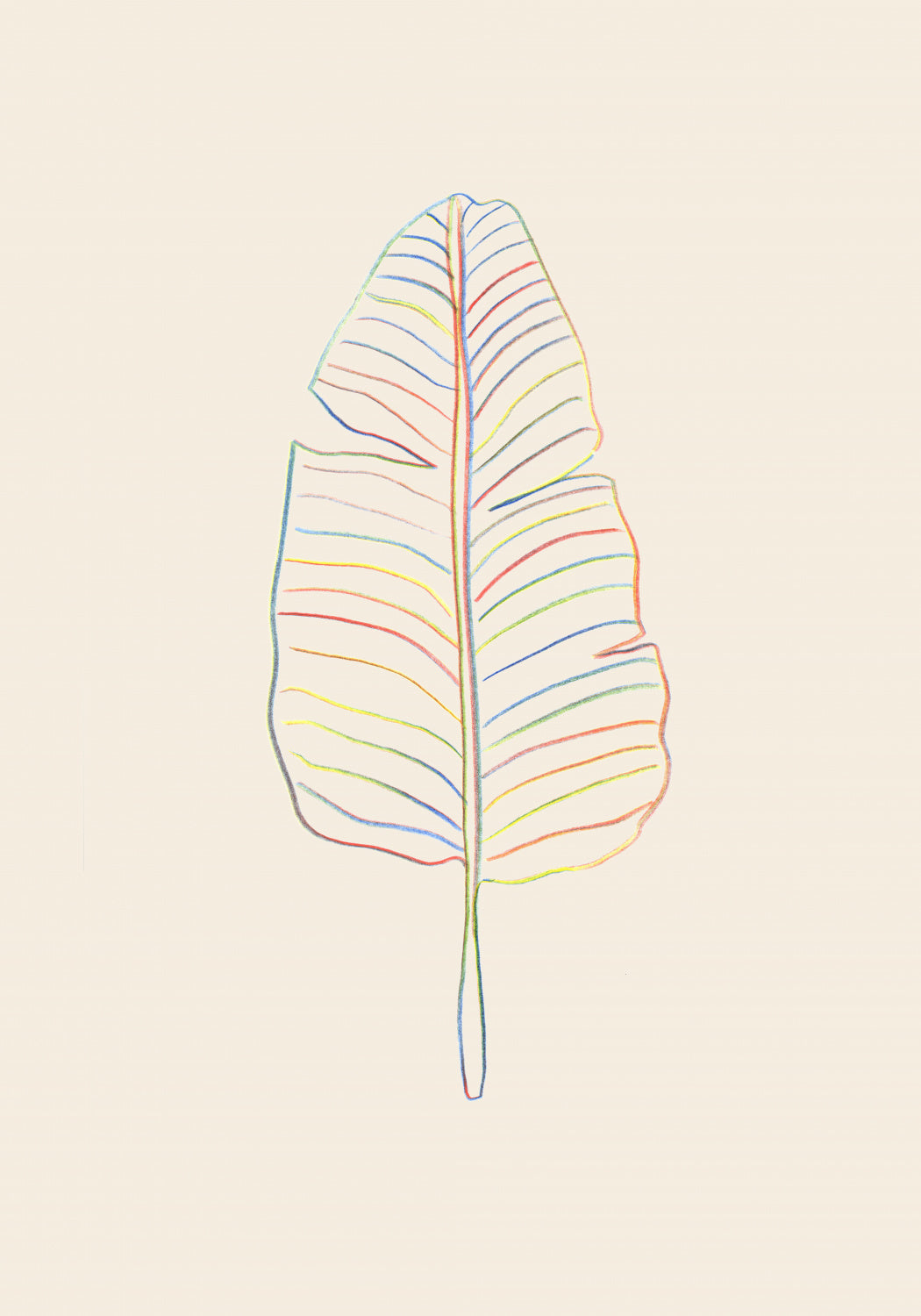 Banana Rainbow Leaf Poster och Canvastavla