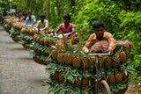 Transporting pineapples Poster och Canvastavla