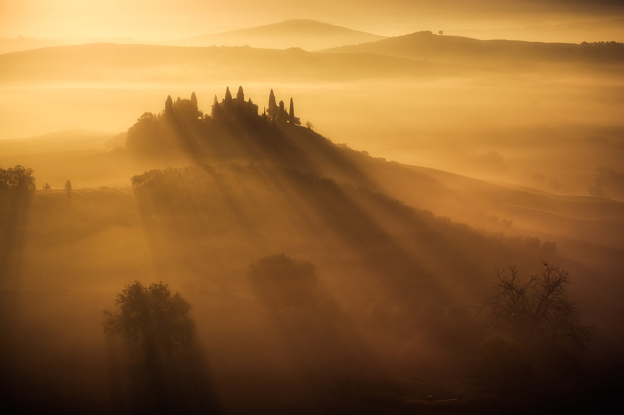 Tuscany sunlight Poster och Canvastavla