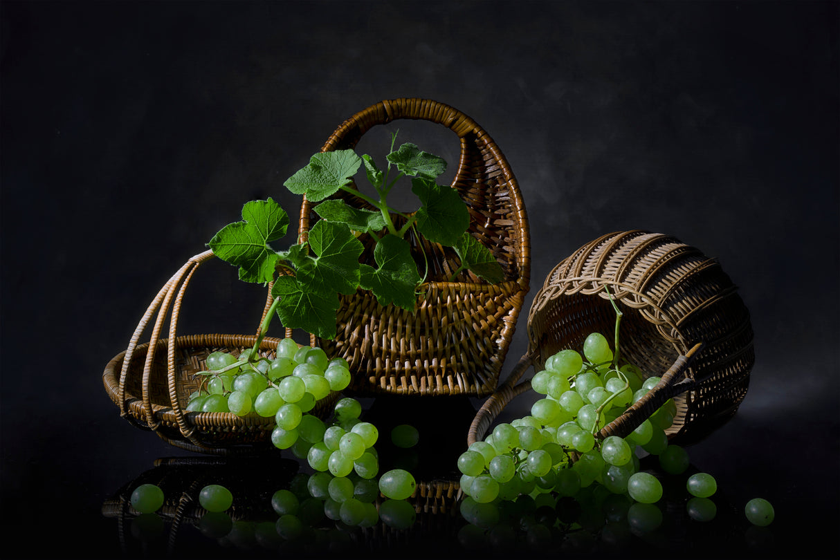 Grape Harvest Poster och Canvastavla