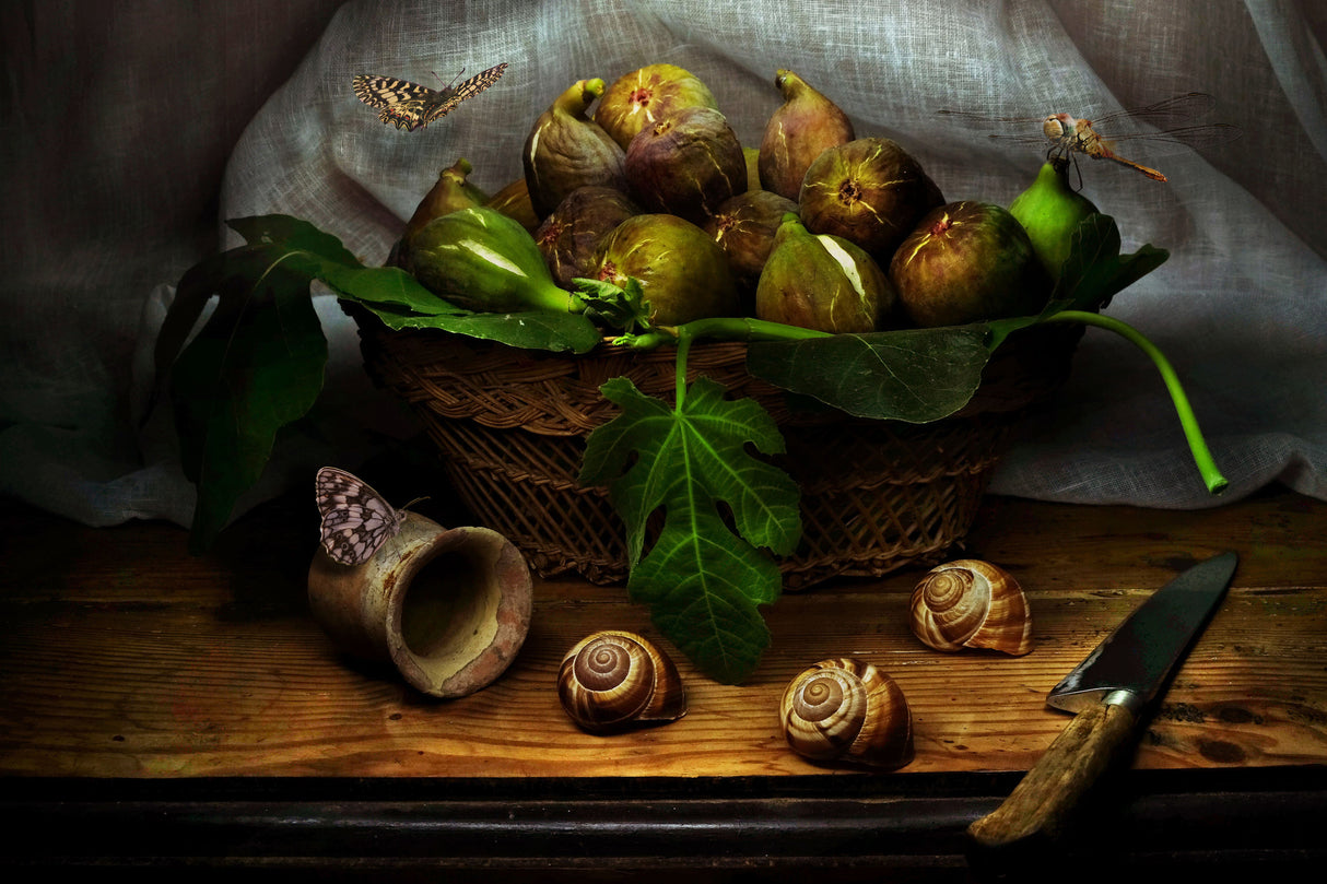 Still Life with Figs Poster och Canvastavla