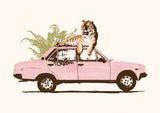 Tiger On Car Poster och Canvastavla