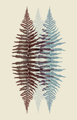 Chocolate and Teal Fern Poster och Canvastavla