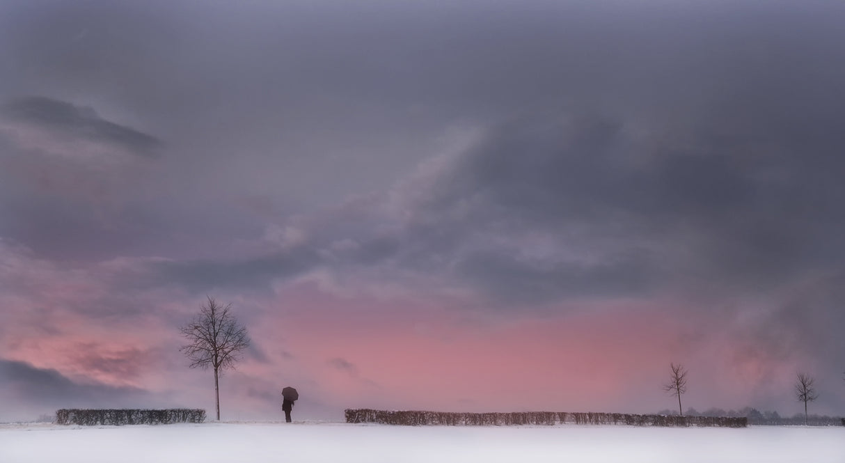 Winterblues Poster och Canvastavla