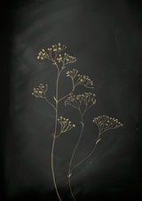 Black Gold Botanical No 1 Poster och Canvastavla