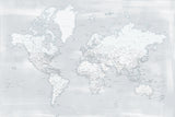 Detailed world map with cities, Maeli cold Poster och Canvastavla