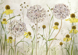 Alliums and heleniums Poster och Canvastavla