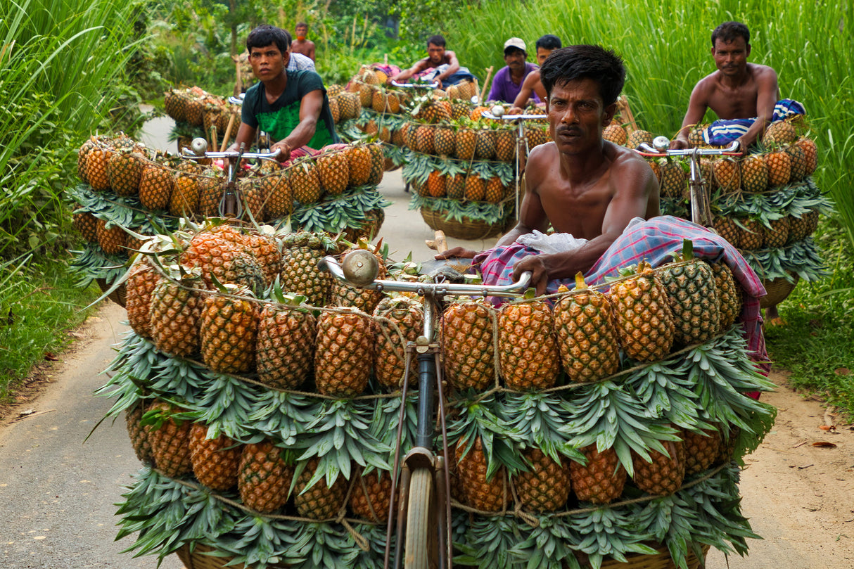 Pineapple seller Poster och Canvastavla