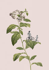 Botanical cycling Poster och Canvastavla