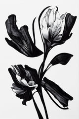 Black Flower Poster och Canvastavla