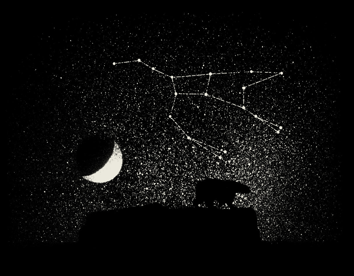 Ursa Major Poster och Canvastavla