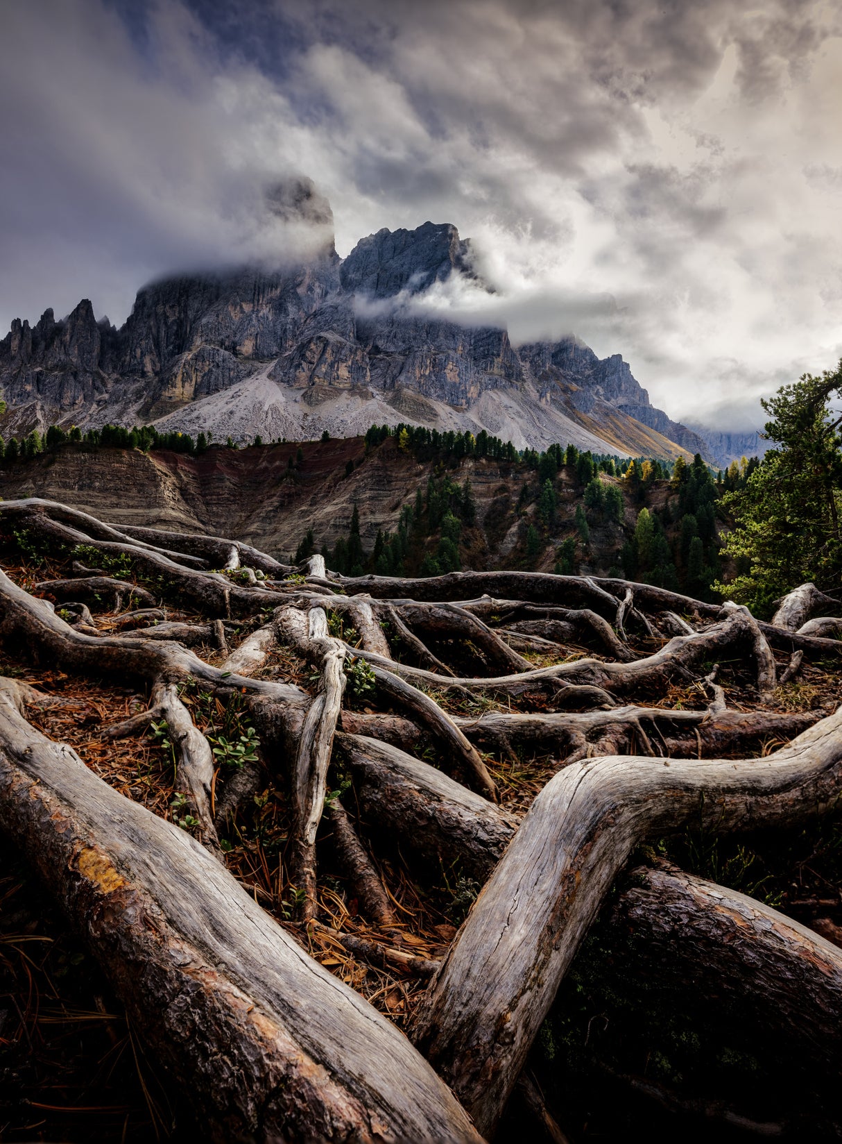 Wurzjoch mountain Dolomites Poster och Canvastavla