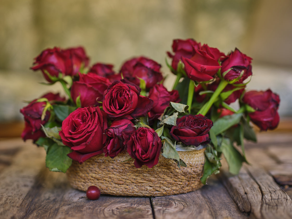 romantic red roses in a wicker basket Poster och Canvastavla