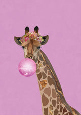 Giraffe pink bubblegum Poster och Canvastavla