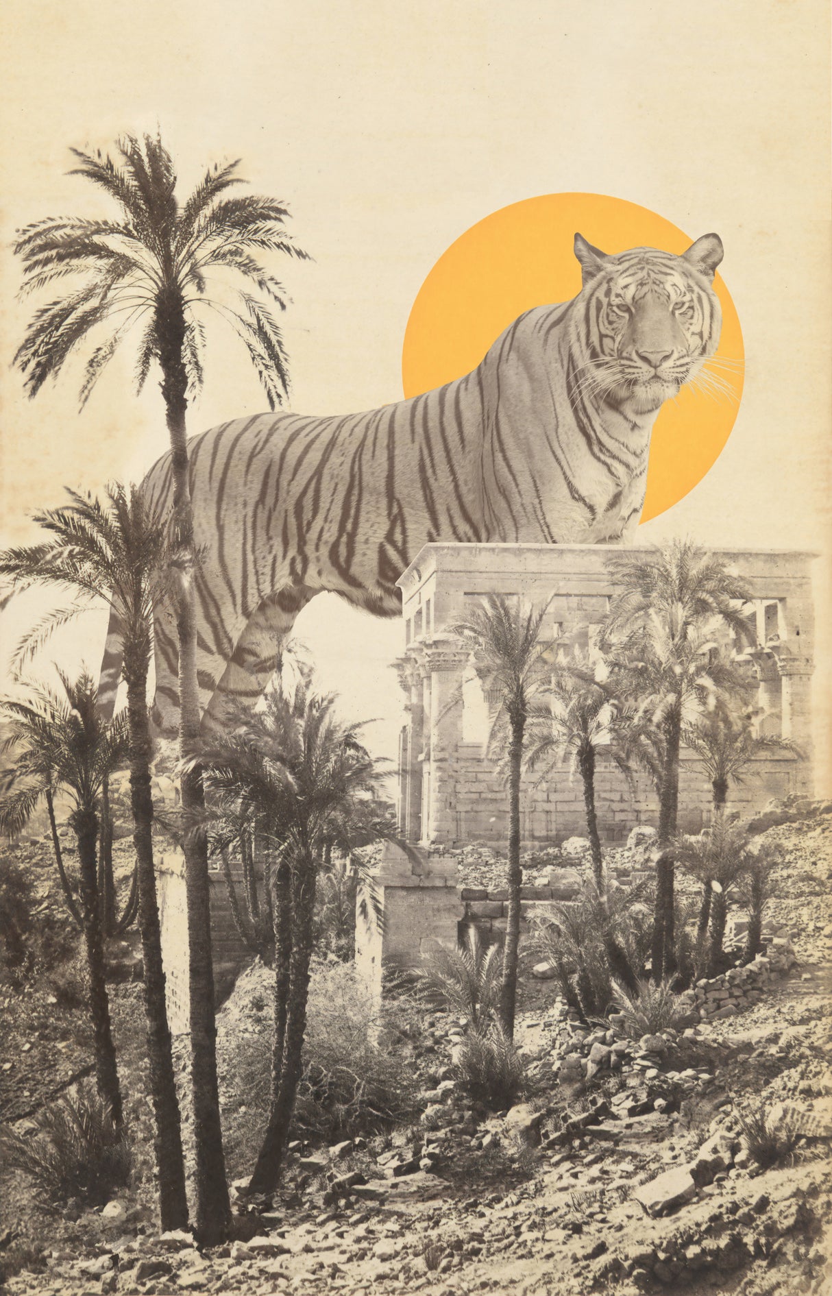 Giant Tiger In Ruins Poster och Canvastavla