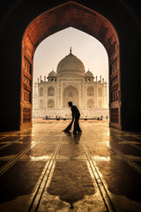 taj mahal cleaner Poster och Canvastavla