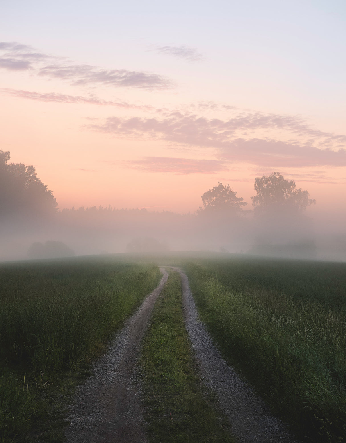 Foggy road Poster och Canvastavla