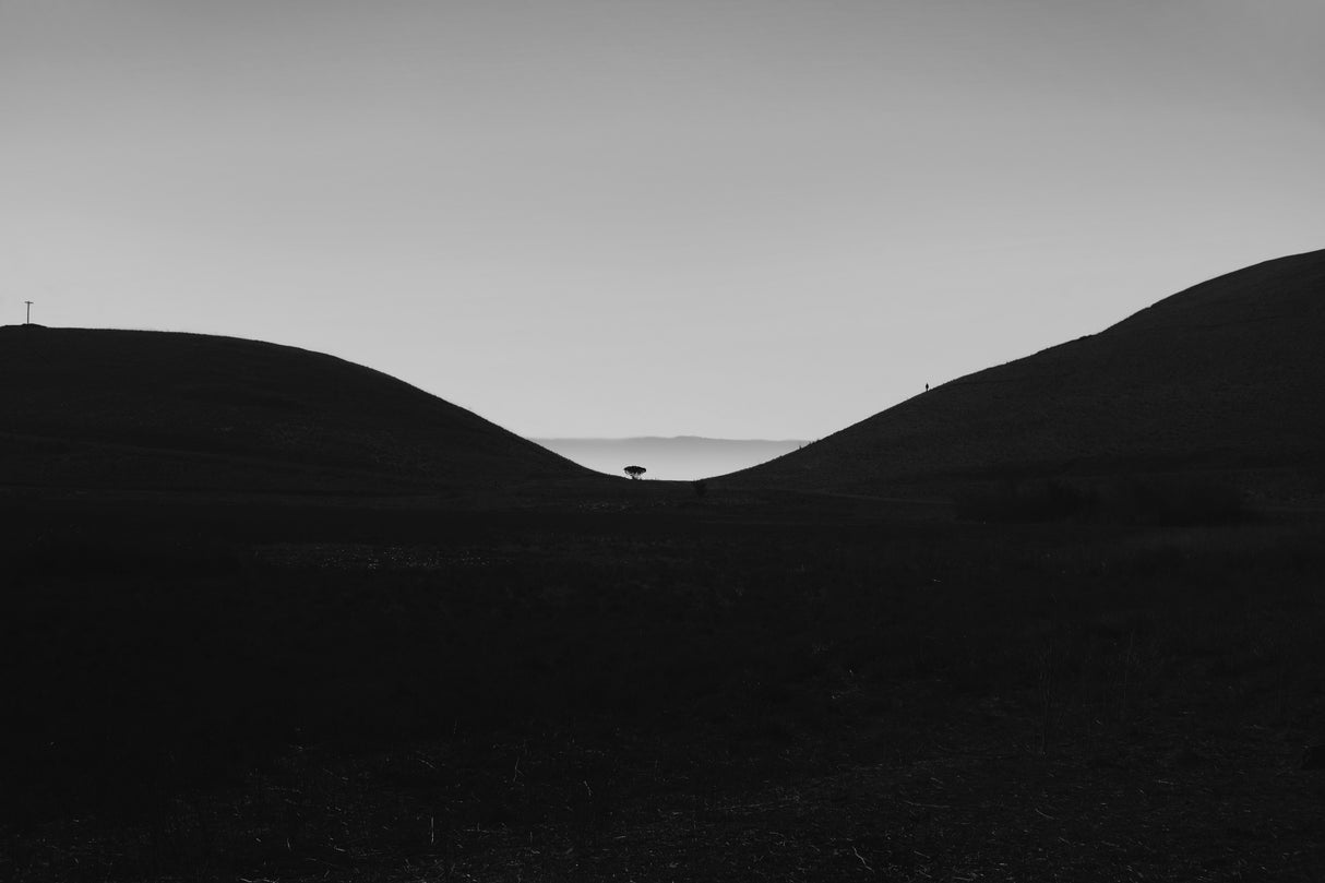 Coyote Hills Sunset Poster och Canvastavla