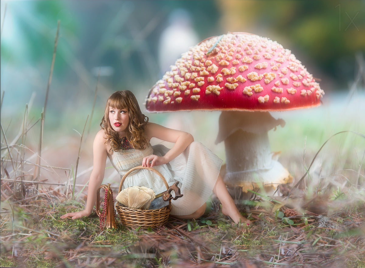 Mushroom Picker Poster och Canvastavla