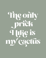 Cactus Prick Poster och Canvastavla