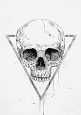 Skull in a triangle (bw) Poster och Canvastavla