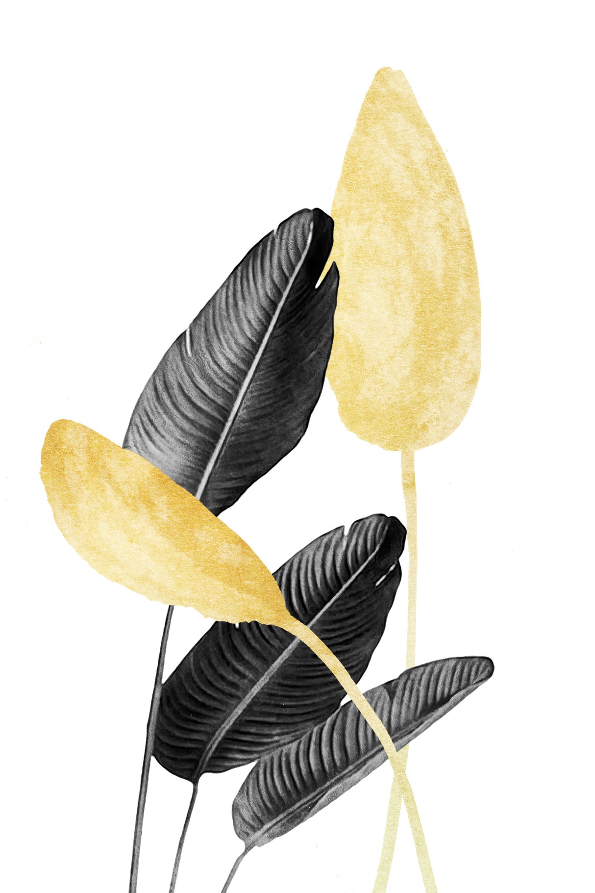 Bird of Paradise Plant Black, White and Gold 02 Poster och Canvastavla