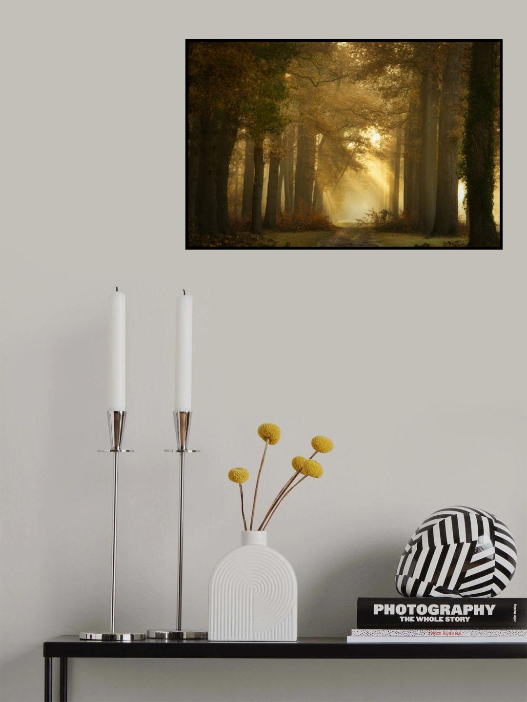 Forever Forest Poster och Canvastavla