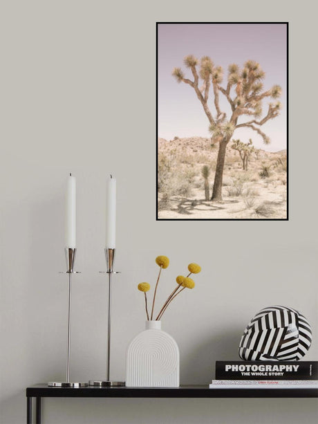 Joshua Tree Poster och Canvastavla