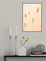 Bunny Grass Peach 05 Poster och Canvastavla