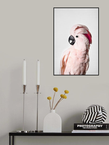 Pink Cockatoo Poster och Canvastavla