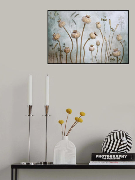 Papaver Poster och Canvastavla