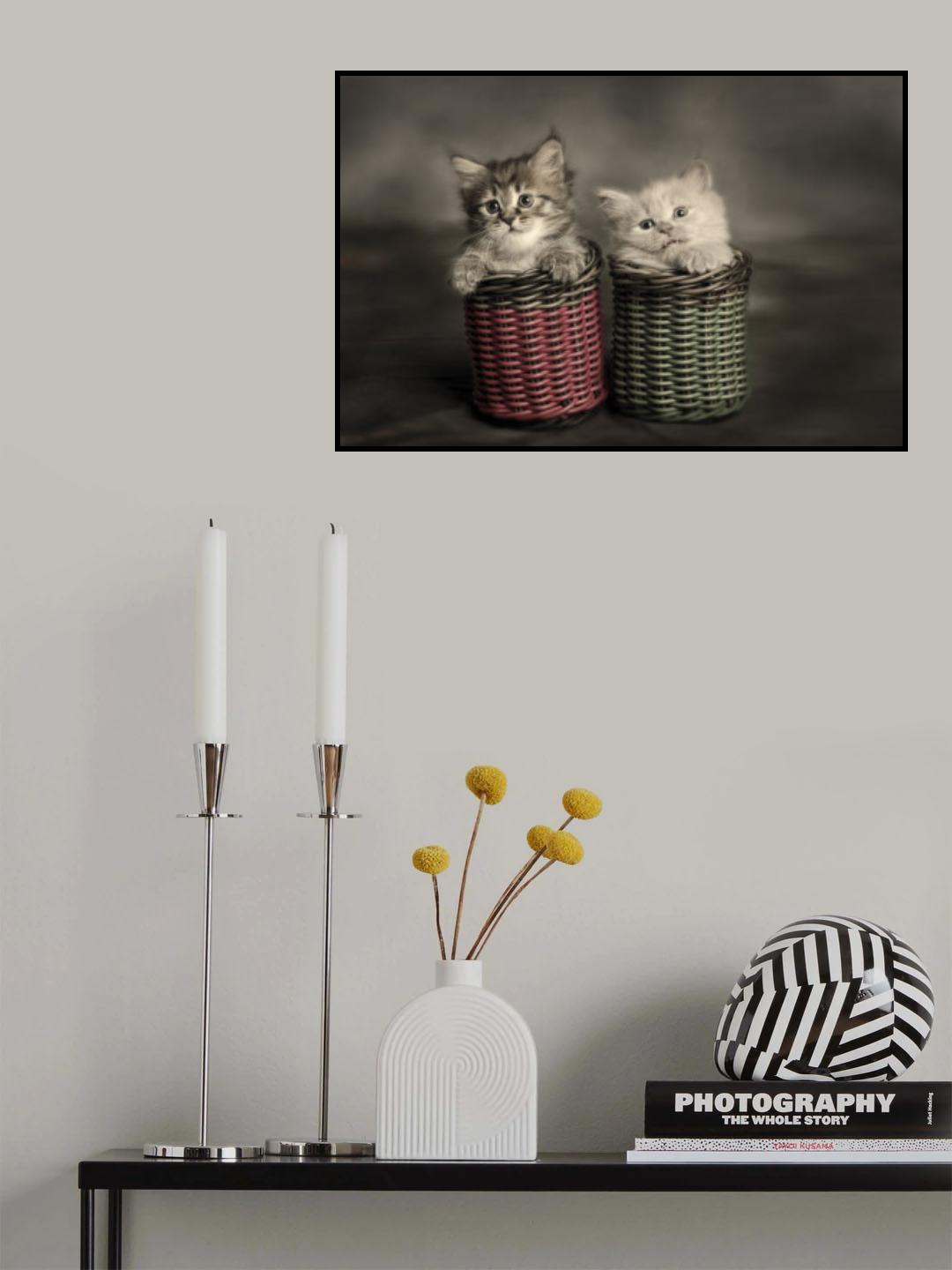 Couple Kitten Poster och Canvastavla