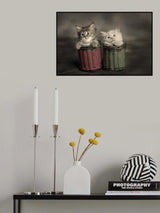 Couple Kitten Poster och Canvastavla