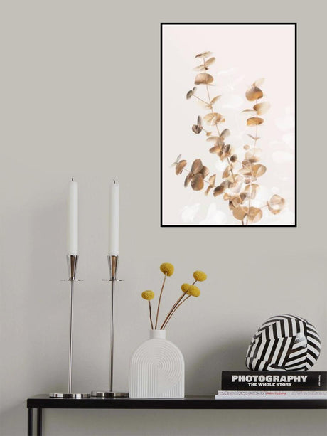 Eucalyptus Creative Gold 03 Poster och Canvastavla