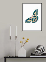 Green White Moth Butterfly Poster och Canvastavla