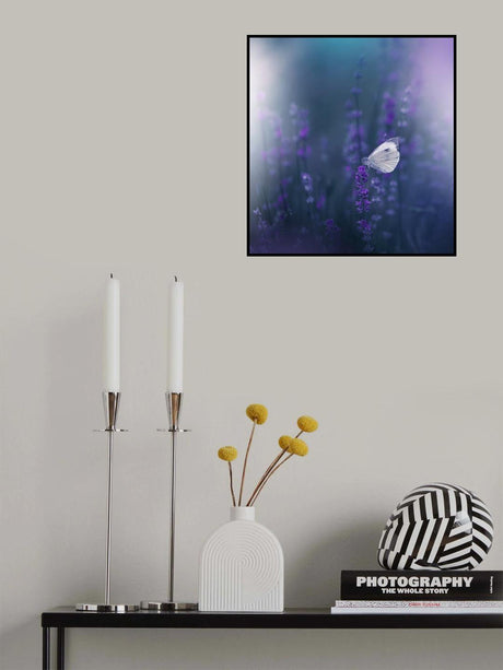 Lavender Queen... Poster och Canvastavla