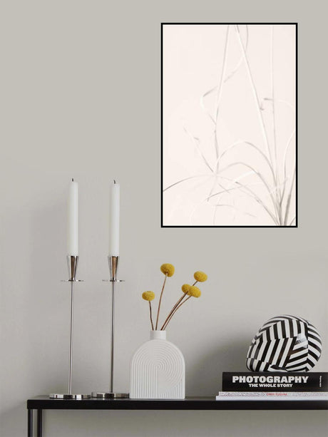 Dried Grass Light Beige Poster och Canvastavla