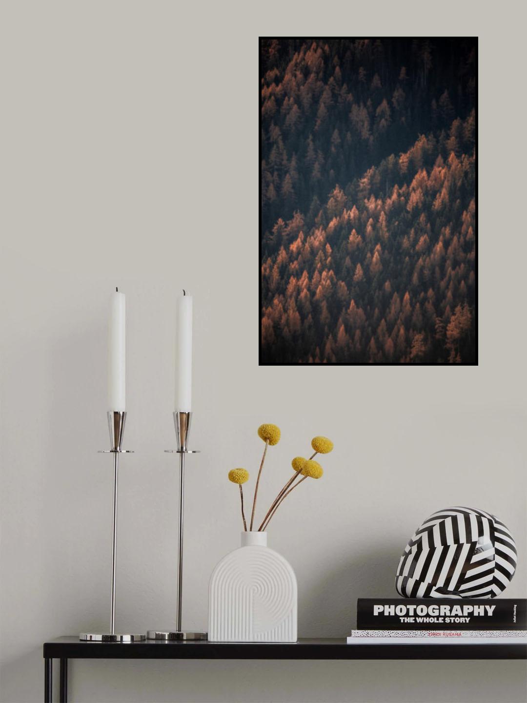 Autumn Woods 2 Poster och Canvastavla