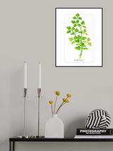 Parsley II Poster