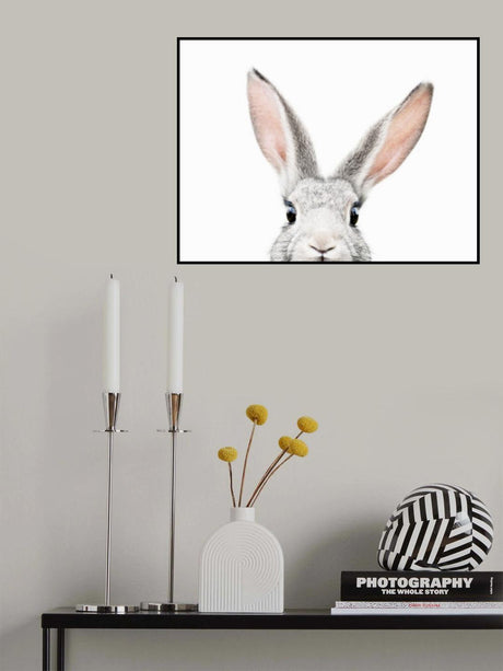 Peeking Bunny Poster och Canvastavla